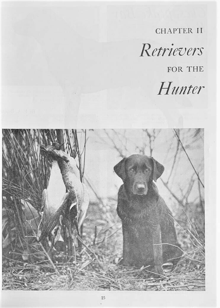 1947 Bob Becker's DOG DIGEST - Fresh Stock Dated October 2025