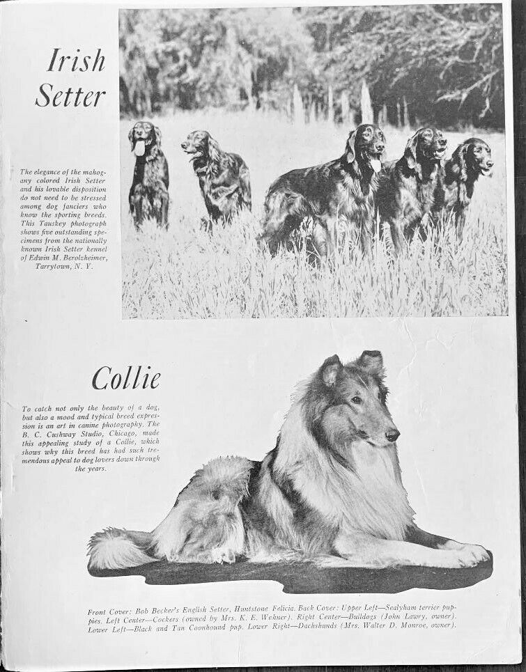 1947 Bob Becker's DOG DIGEST - Fresh Stock Dated October 2025