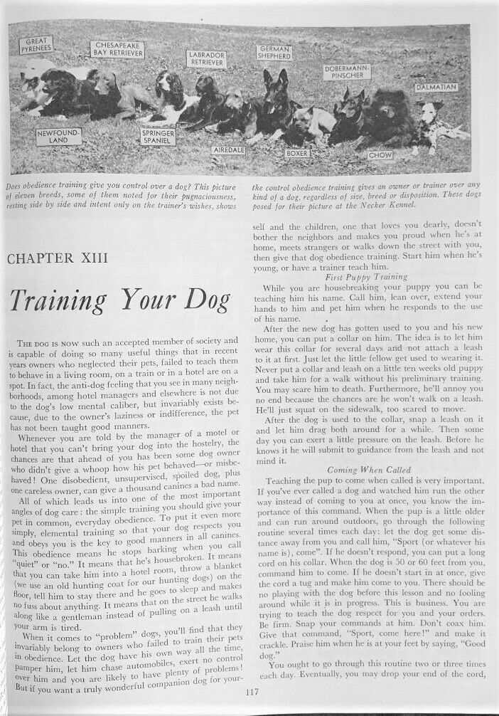1947 Bob Becker's DOG DIGEST - Fresh Stock Dated October 2025