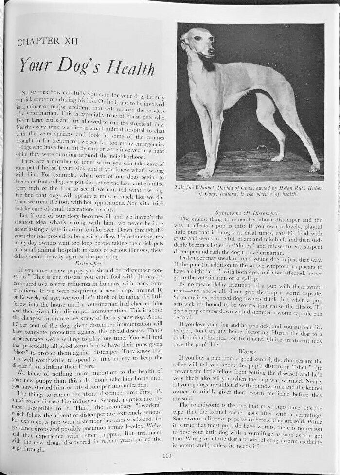 1947 Bob Becker's DOG DIGEST - Fresh Stock Dated October 2025