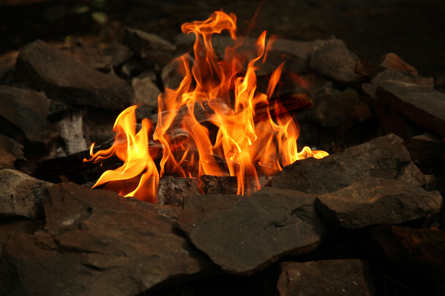 Siobhan's 22 Irish Fire Logs and Fire Starters -  Made From Irish Peat - Fresh Stock Dated October 2025