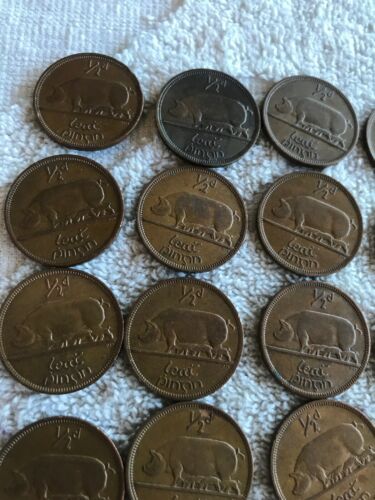 Lot Of 25 Irish Lucky Half-pennies 1966 - Fresh Stock Dated October 2025