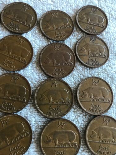 Lot Of 25 Irish Lucky Half-pennies 1966 - Fresh Stock Dated October 2025