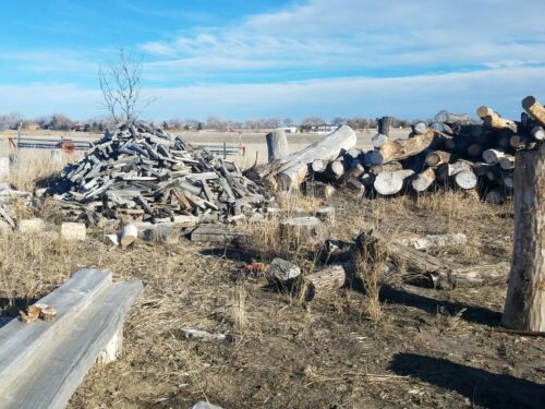 Big Heavy Box, 65+ LBS Better Assorted Hand Split Firewood. Dry. Elm, Poplar, Co - Fresh Stock Dated October 2025