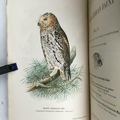 North America Fauna No 5 USDA Division of Ornithology & Mammalogy July 30 1891 - Fresh Stock Dated October 2025