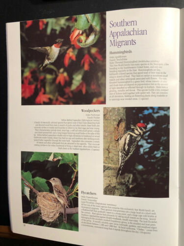 1996 Neotropical Migratory birds of the Southern Appalachians, USDA Forest Svc - Fresh Stock Dated October 2025