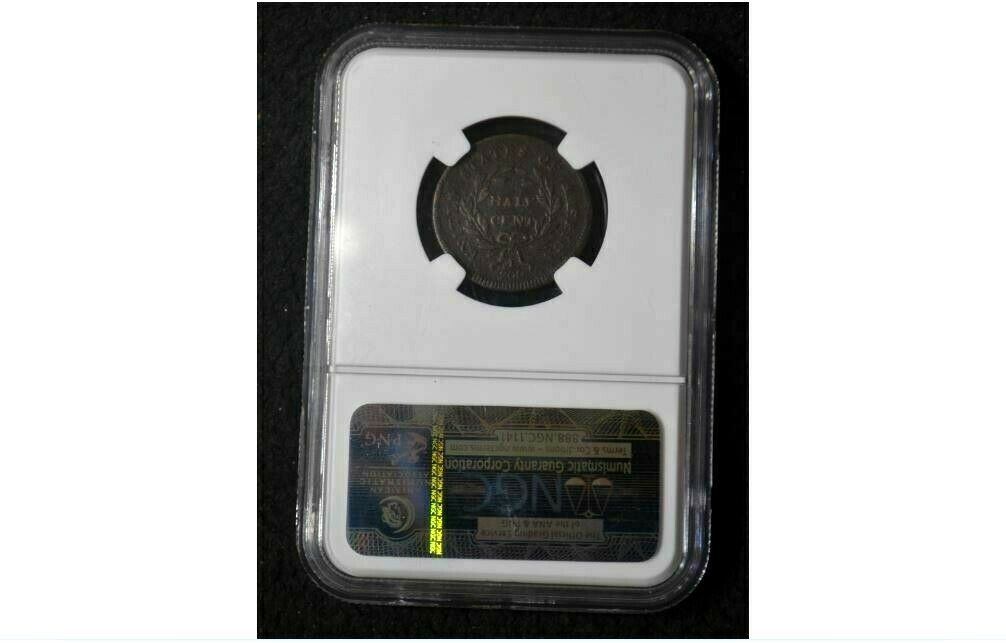 1795 HALF CENT ** C1** VF Details ** NGC ** Lettered Edge w/Pole - Fresh Stock Dated October 2025