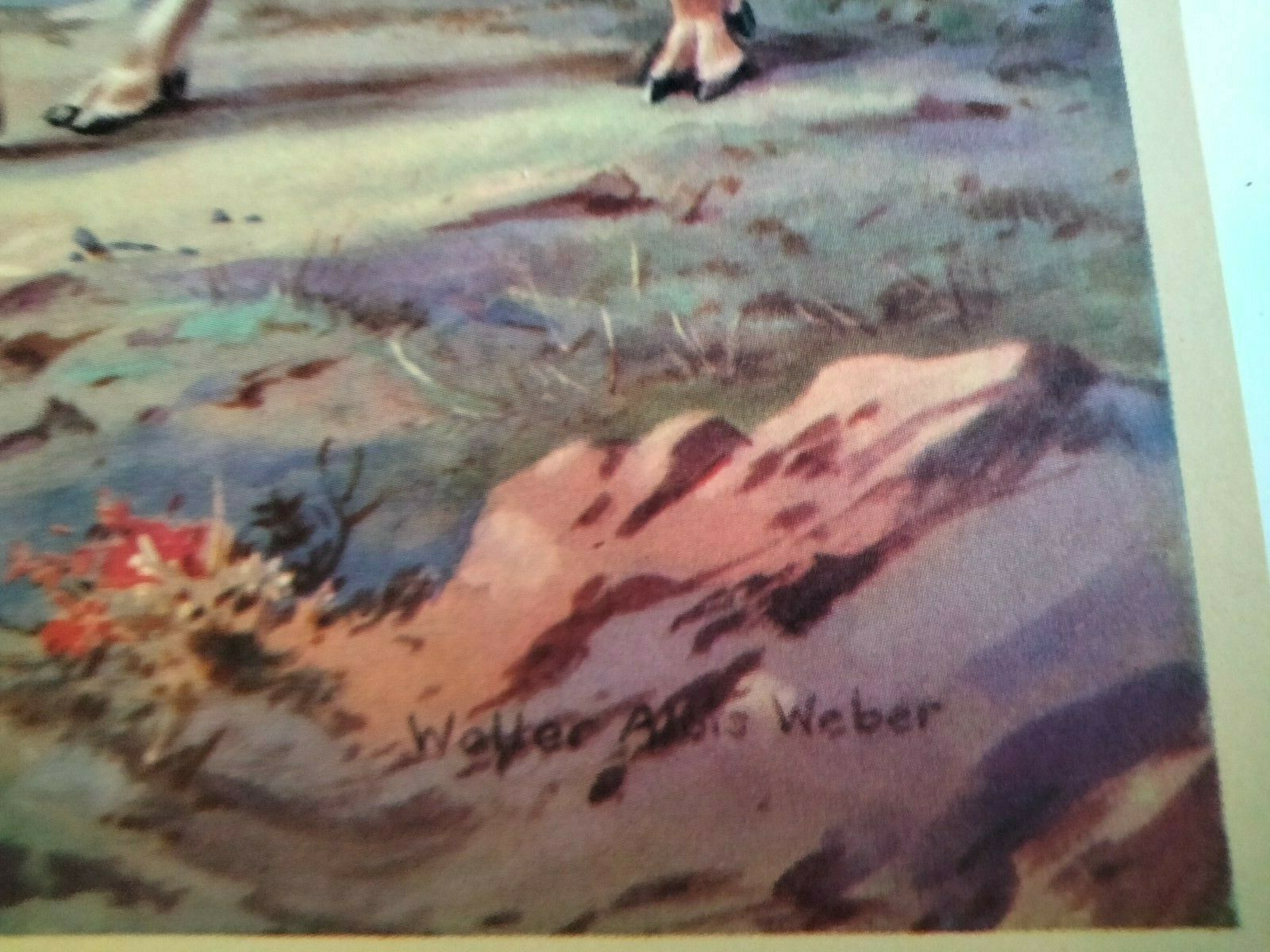 Early 1900's Homes&Habits of Wild Animals-Illustrated Walter Alois Weber;Caribou - Fresh Stock Dated October 2025
