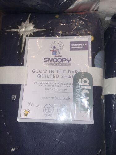 Pottery Barn Kids F/Q Quilt Snoopy Glow In The Dark W/2 Euro & 2 Std Shams - Fresh Stock Dated October 2025
