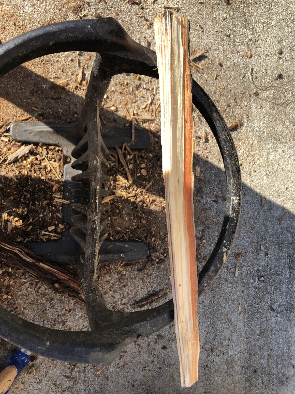 Fatwood, fat lighter, lighter wood, rich lighter, pine knot - Fresh Stock Dated October 2025
