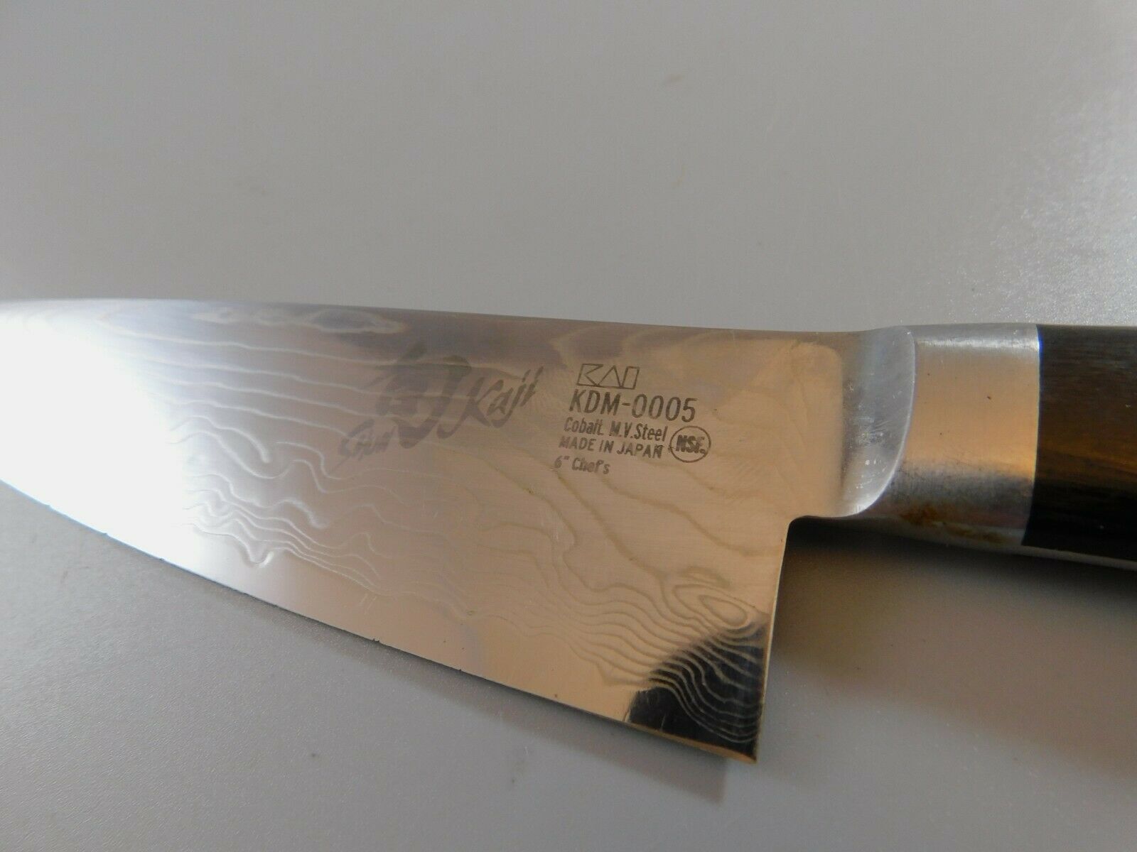 Shun Kaji 6