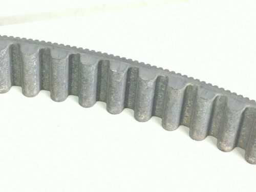 05 Harley Heritage Softail Classic FLSTCI Drive Belt - Fresh Stock Dated October 2025