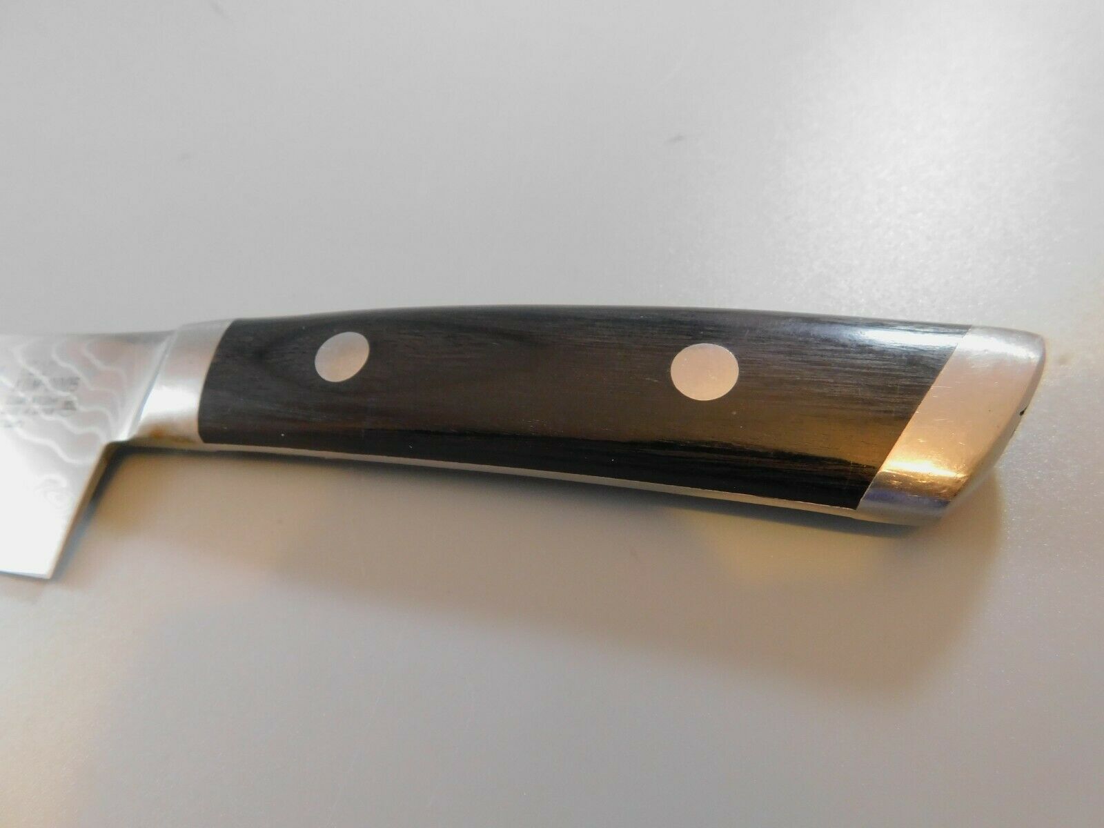 Shun Kaji 6