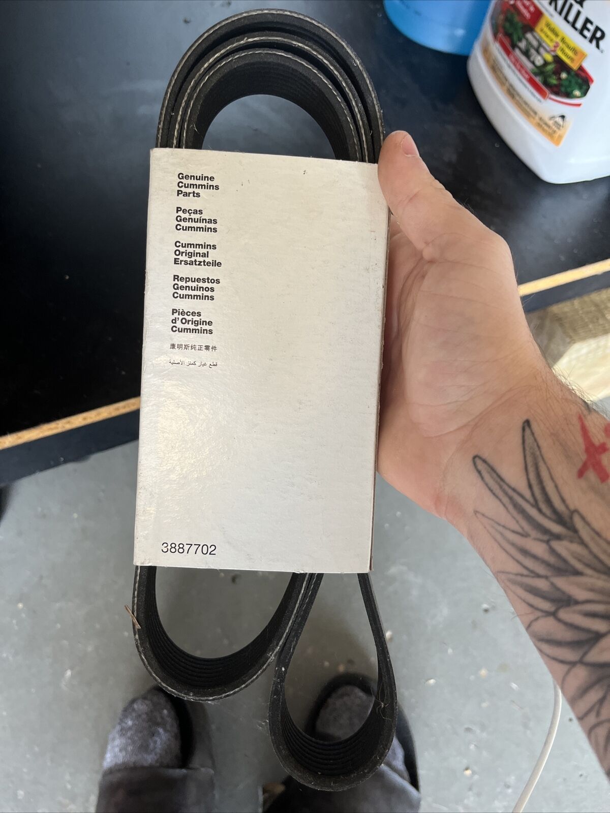 Cummins #4981117 V. Belt Ribbed. - Fresh Stock Dated October 2025