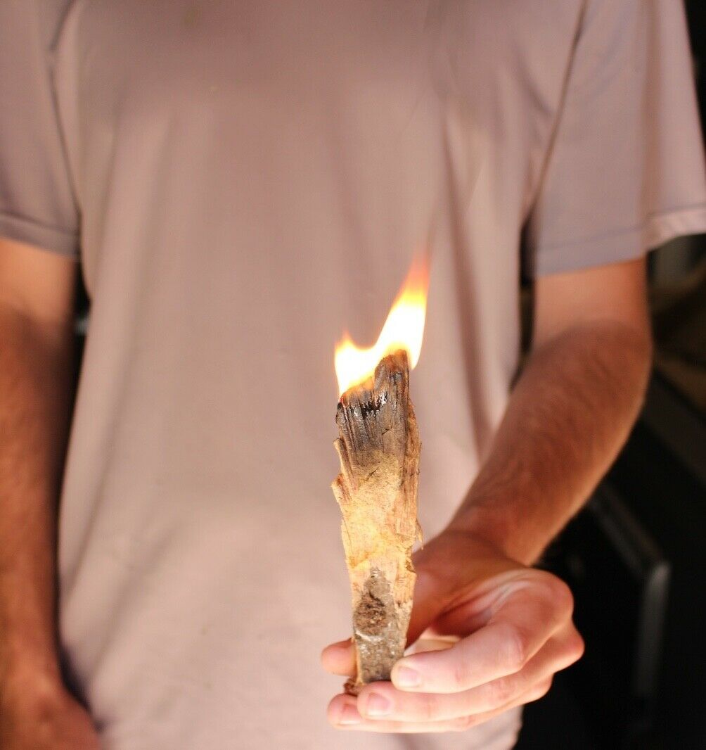 Fat Pine Kindling Lighter Knot Fire Starter Natural Fatwood 6 LBS From Florida - Fresh Stock Dated October 2025