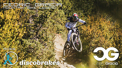Tektro Auriga A10.11 Disc Brake Pads P20.11 E10.11 Orion Aquila Gemini Draco Pro - Fresh Stock Dated October 2025