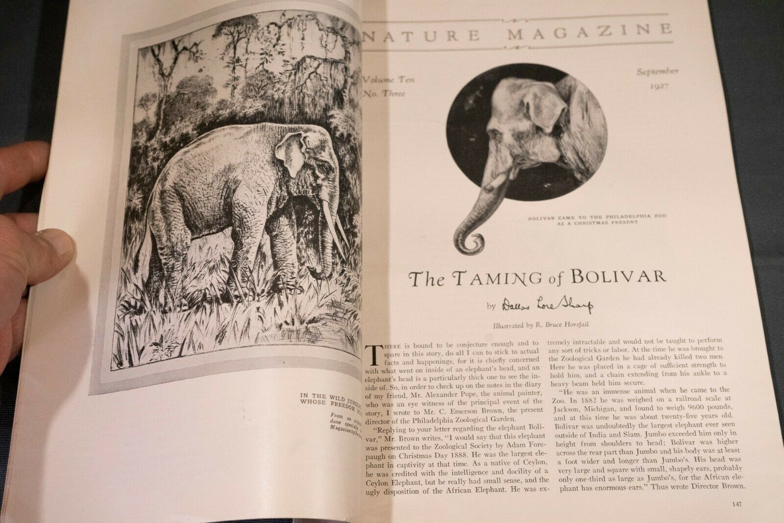 Antique Nature Magazine September 1927 Outdoor & Nature Publication - Fresh Stock Dated October 2025