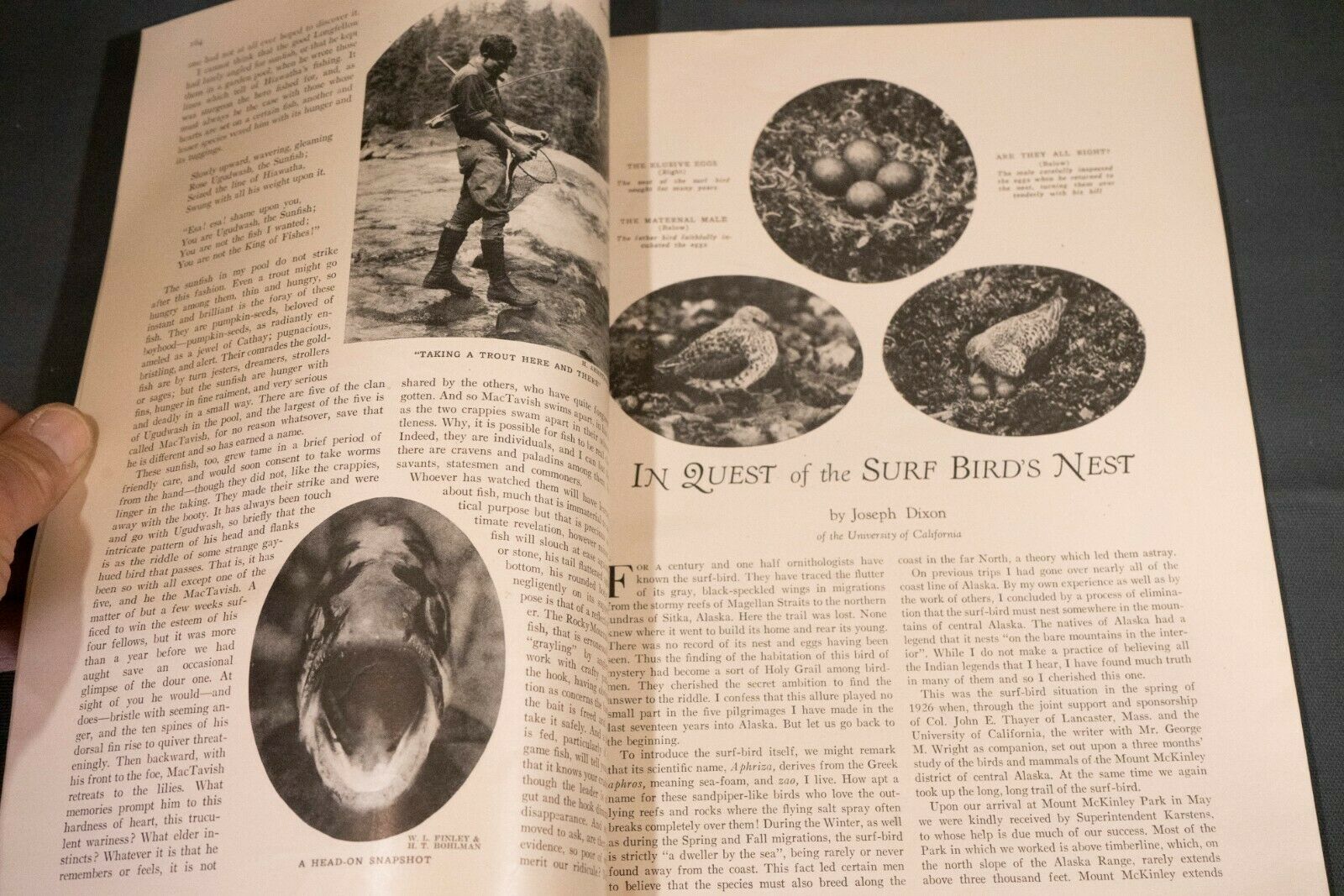 Antique Nature Magazine September 1927 Outdoor & Nature Publication - Fresh Stock Dated October 2025
