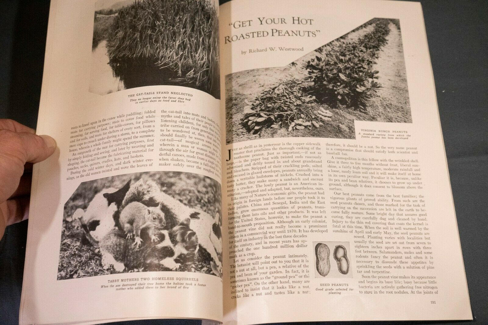 Antique Nature Magazine September 1927 Outdoor & Nature Publication - Fresh Stock Dated October 2025