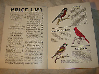Vintage 1925 CANARY Book CANARIES FOR PLEASURE Bird Raising MAGNESIA Catalog VGC - Fresh Stock Dated October 2025