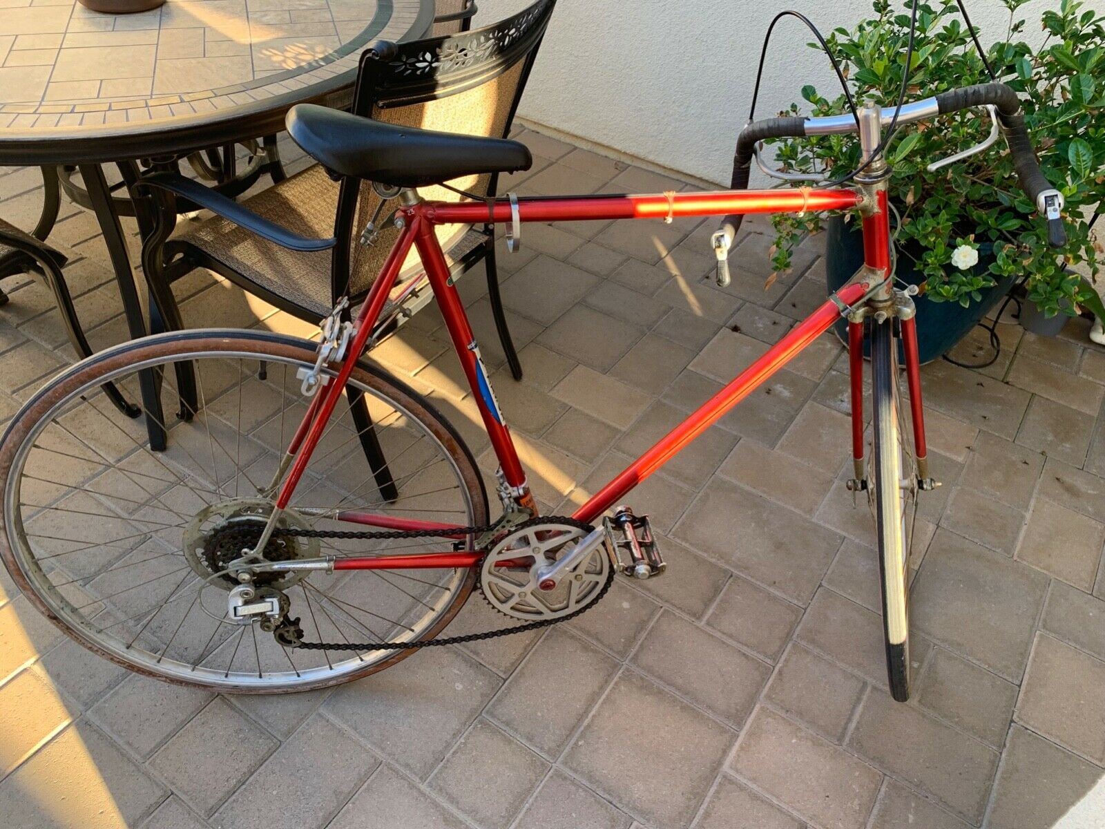 Antique Windsor Carrera Sport Bicycle - Fresh Stock Dated October 2025