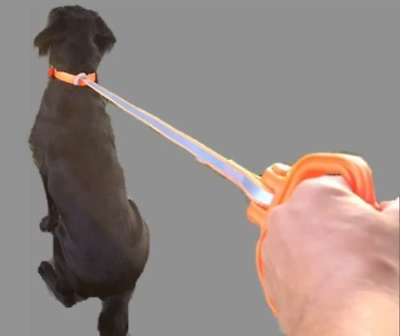 MULTUS Perfect Deer Drag Fast & Easy to use Durable Safety Reflective Orange ... - Fresh Stock Dated October 2025