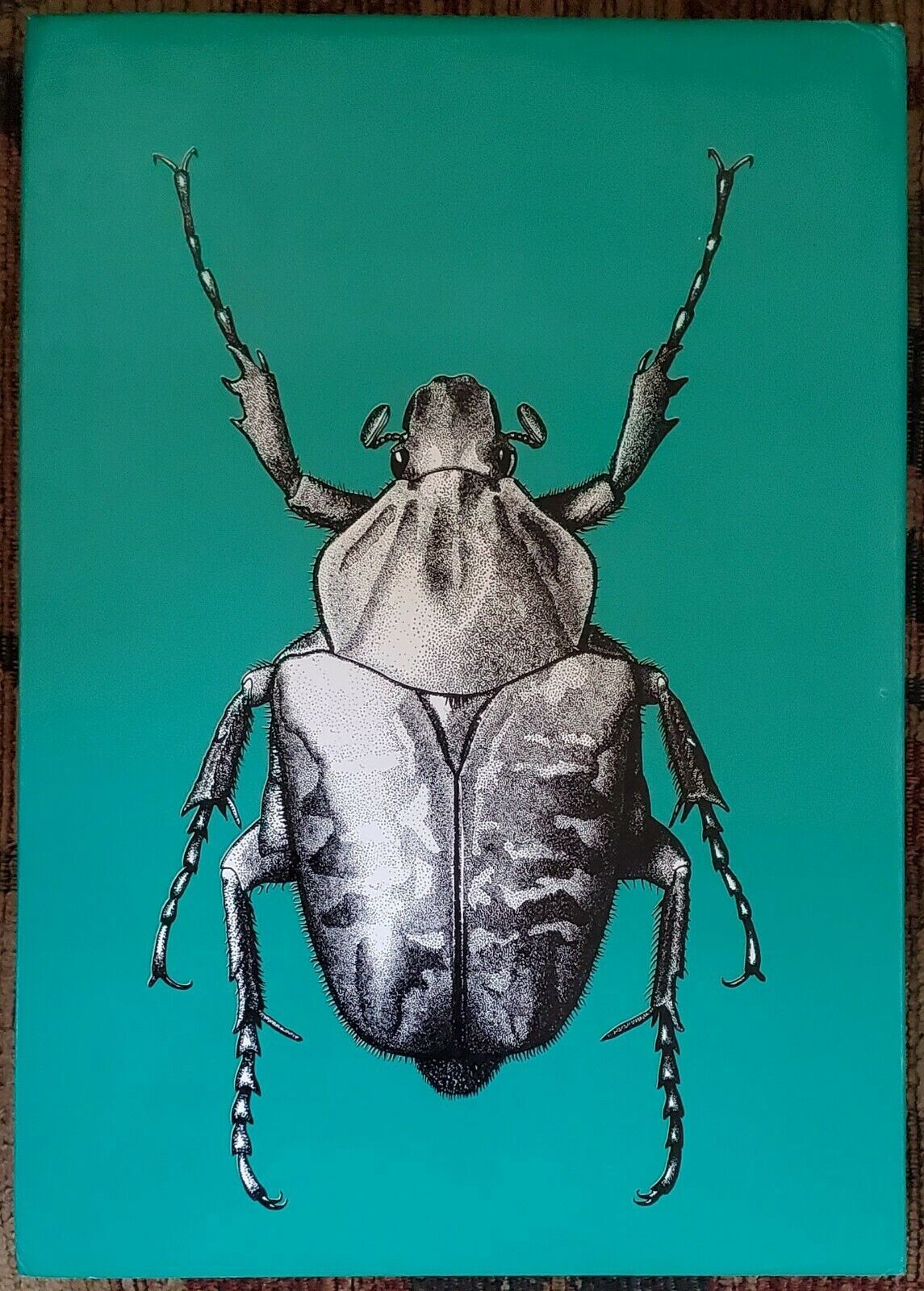 Fruit Chafers of Southern Africa - Erik Holm & Eugene Marais RARE Beetles Insect - Fresh Stock Dated October 2025