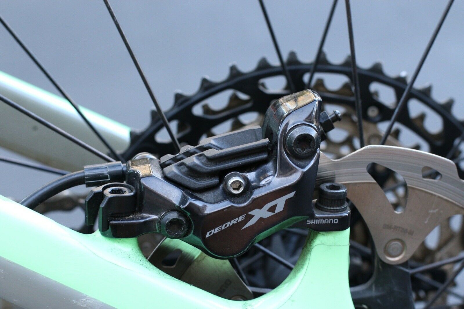 2021 Canyon Strive CF 8 Mountain Bike - XL - Full Carbon - Fresh Stock Dated October 2025