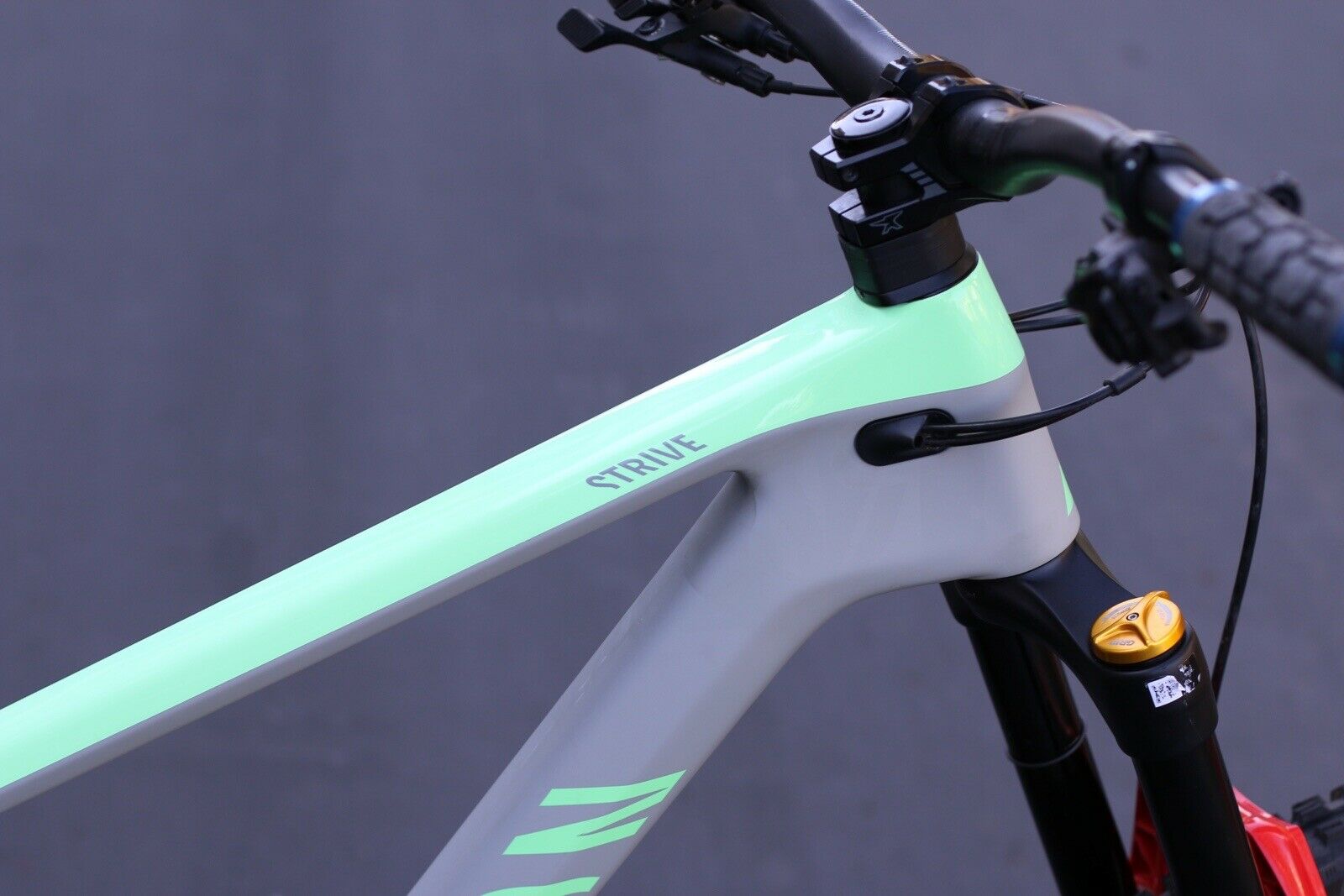 2021 Canyon Strive CF 8 Mountain Bike - XL - Full Carbon - Fresh Stock Dated October 2025