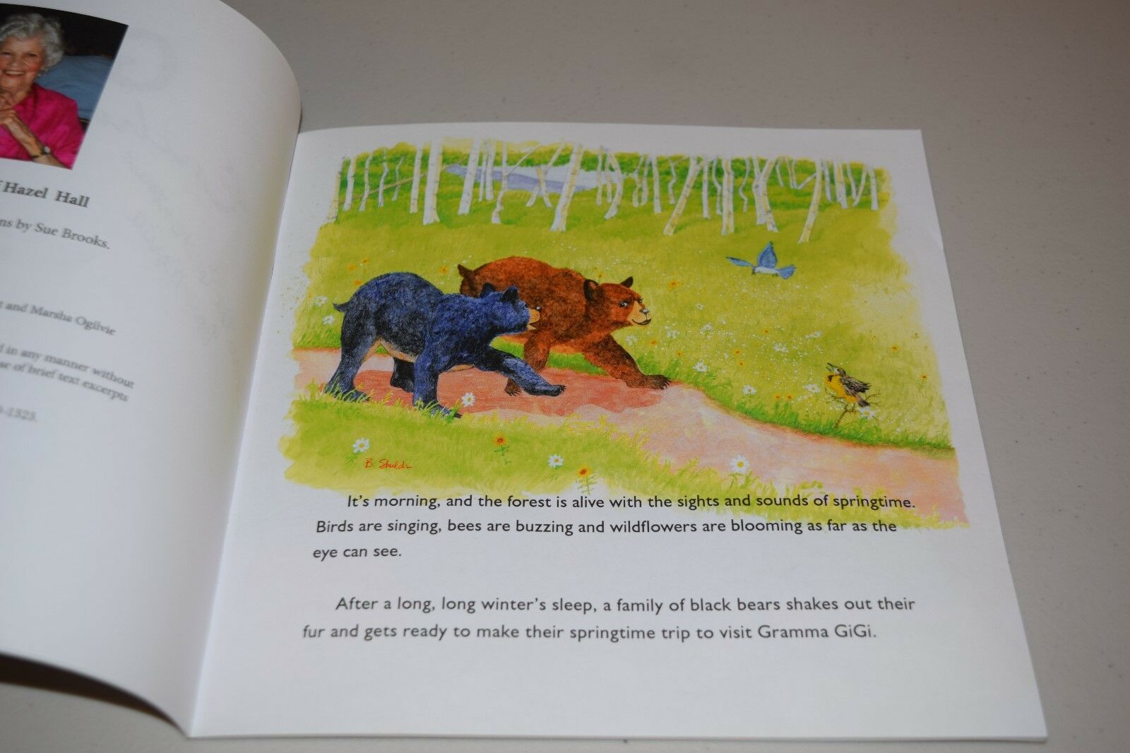 Gigi's Enchanted Forest by Patti Clemons Merritt Shields SIGNED BY AUTHORS Bears - Fresh Stock Dated October 2025