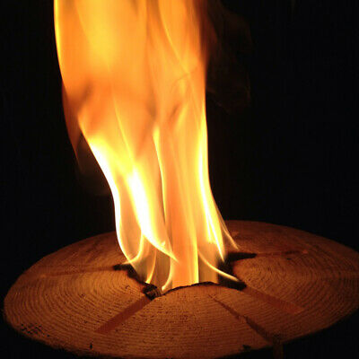 TimberTote Large 12x8 Inch One Log Campfire Camping Cooking Camp Fire Wood Log - Fresh Stock Dated October 2025