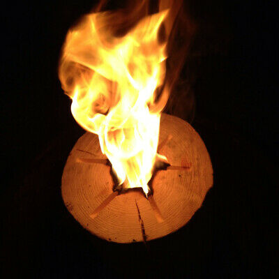 TimberTote Large 12x8 Inch One Log Campfire Camping Cooking Camp Fire Wood Log - Fresh Stock Dated October 2025