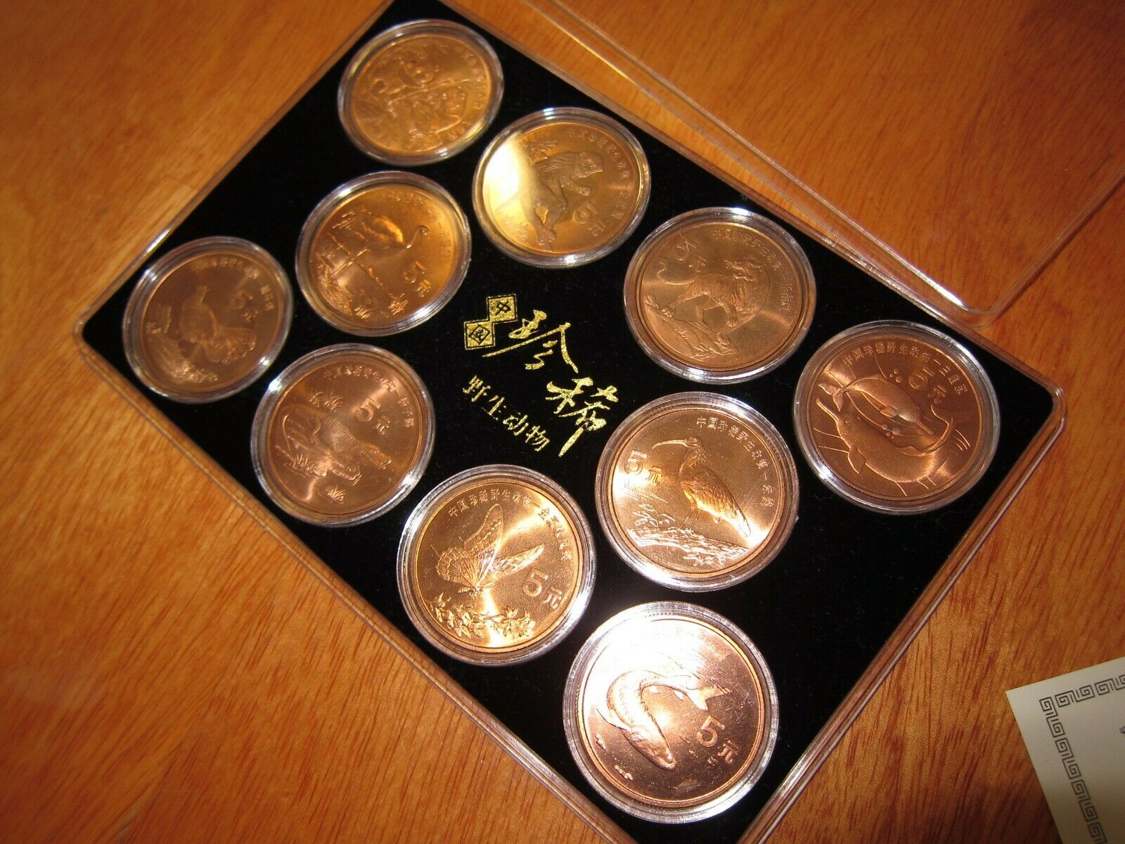 1993 - 1999 China Rare Wild Animals Copper 5 Yuan 10 Coin Set - Fresh Stock Dated October 2025