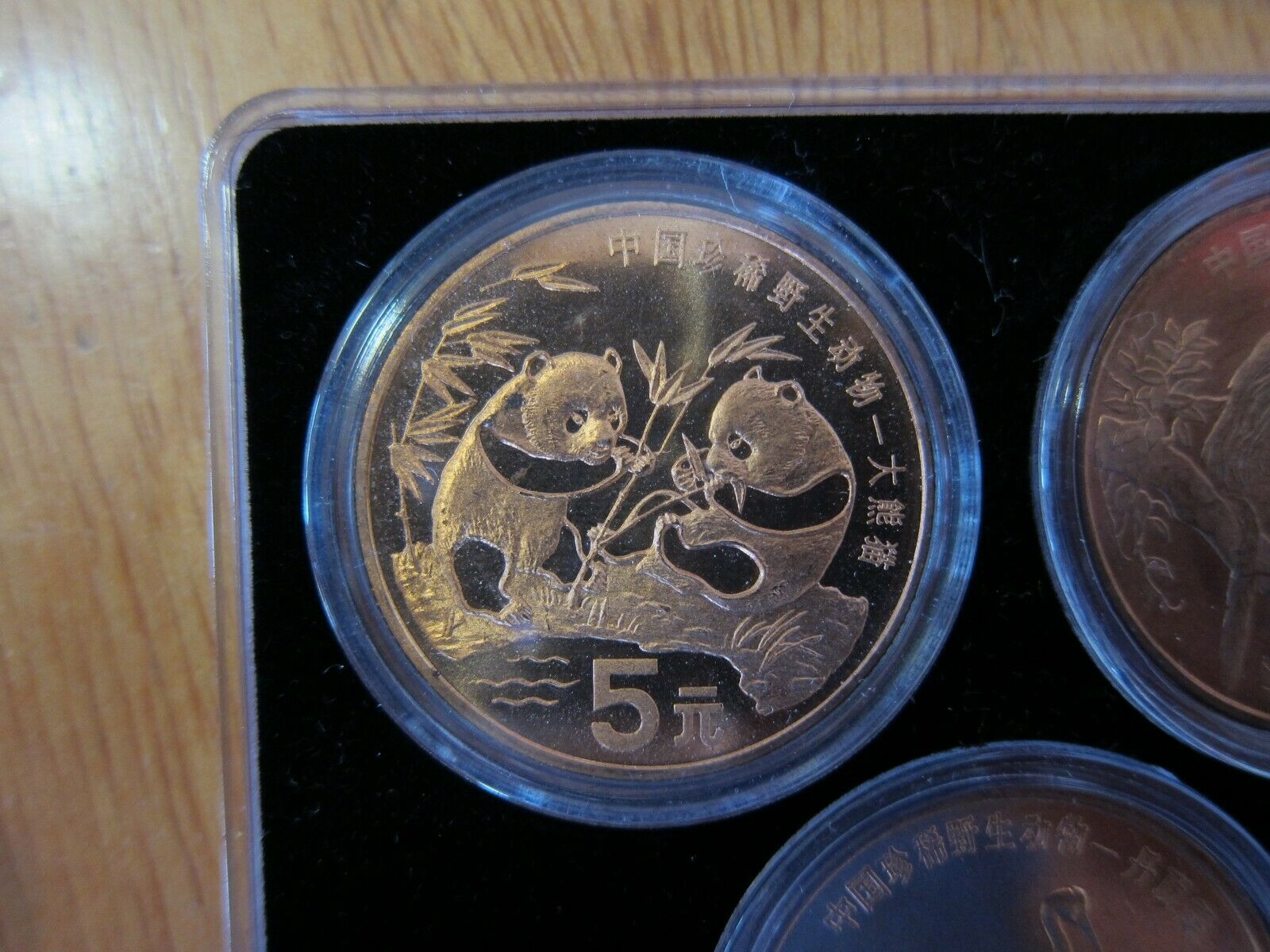1993 - 1999 China Rare Wild Animals Copper 5 Yuan 10 Coin Set - Fresh Stock Dated October 2025