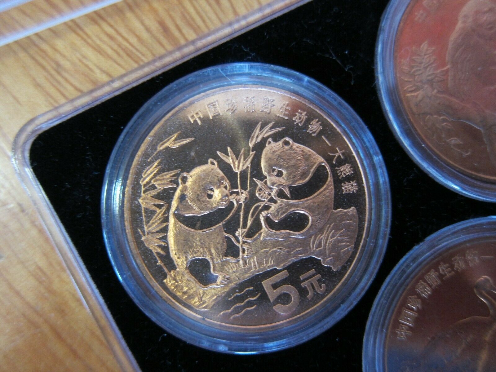 1993 - 1999 China Rare Wild Animals Copper 5 Yuan 10 Coin Set - Fresh Stock Dated October 2025