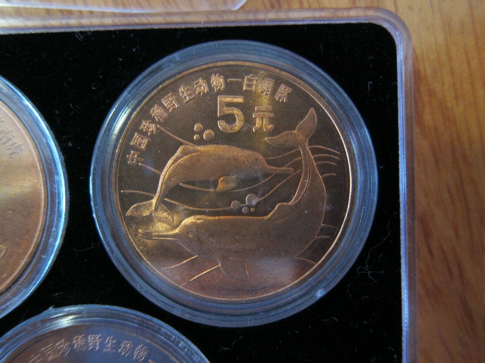 1993 - 1999 China Rare Wild Animals Copper 5 Yuan 10 Coin Set - Fresh Stock Dated October 2025