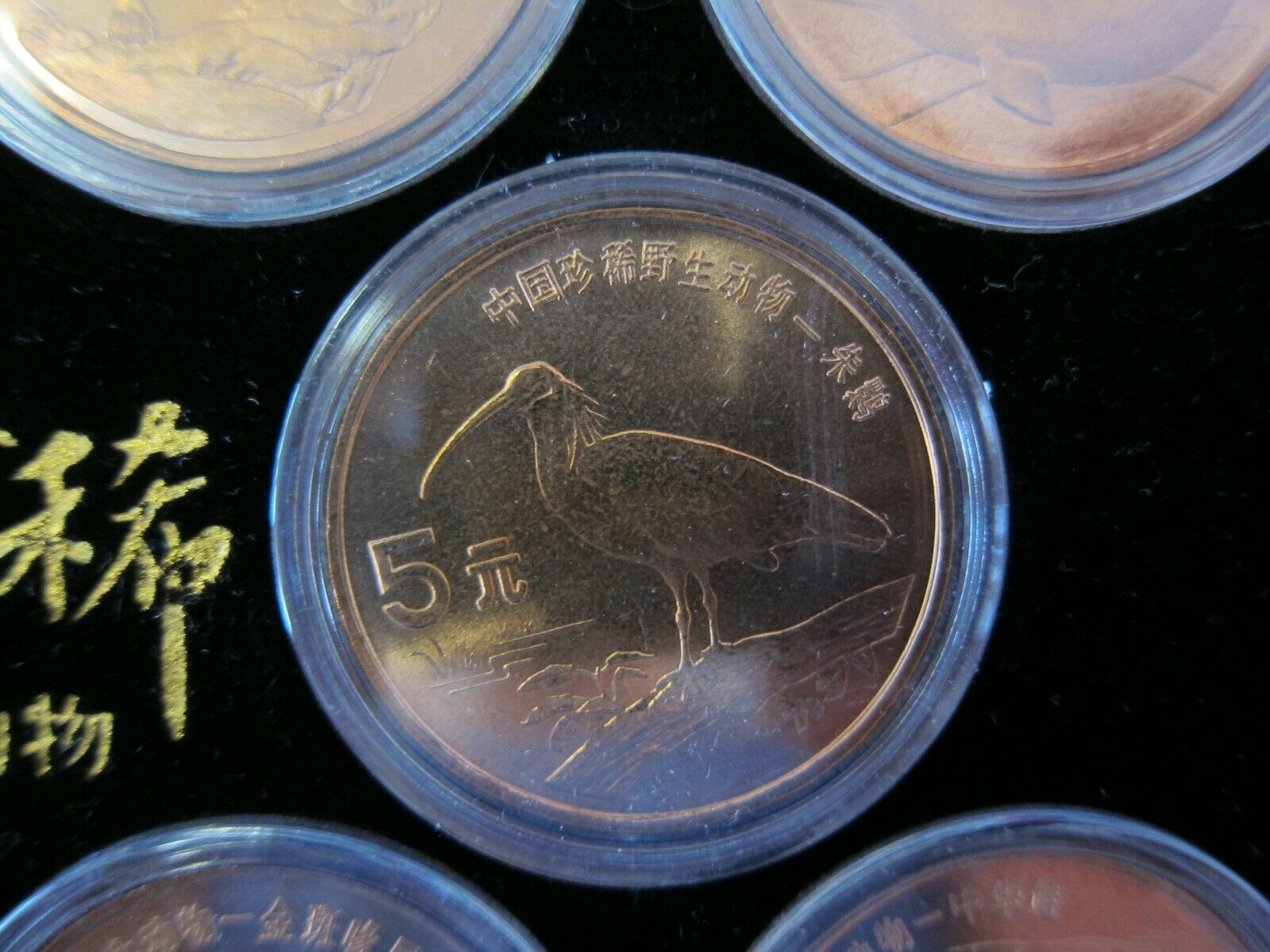 1993 - 1999 China Rare Wild Animals Copper 5 Yuan 10 Coin Set - Fresh Stock Dated October 2025