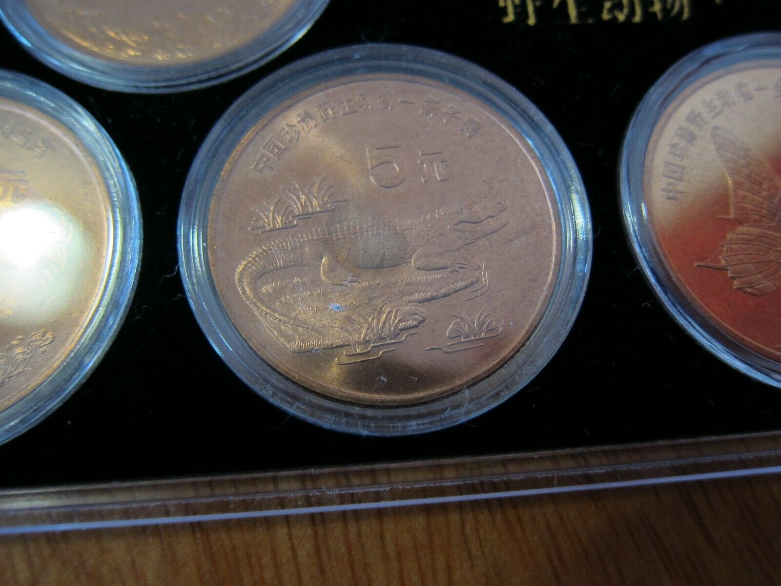 1993 - 1999 China Rare Wild Animals Copper 5 Yuan 10 Coin Set - Fresh Stock Dated October 2025