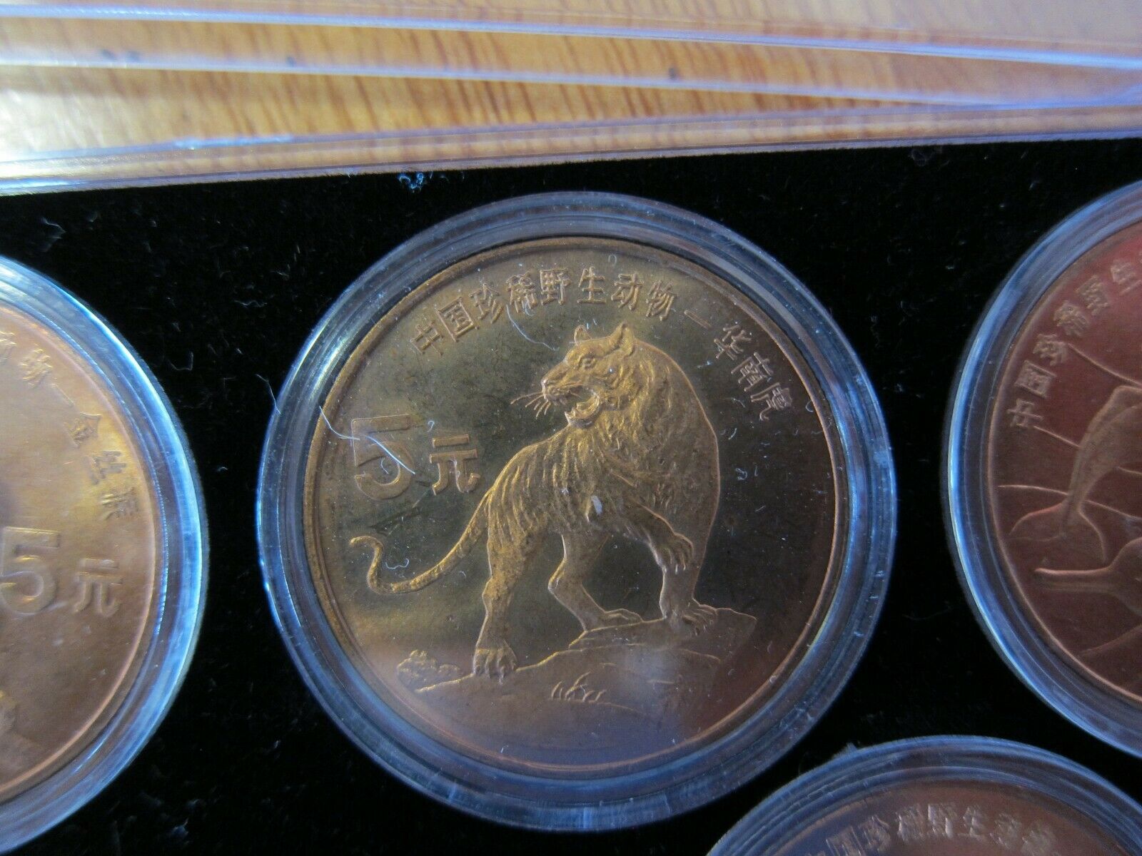 1993 - 1999 China Rare Wild Animals Copper 5 Yuan 10 Coin Set - Fresh Stock Dated October 2025