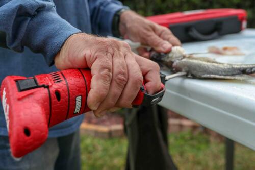Bubba Lithium Ion Cordless Electric Fillet Knife 4 Blades Li-Ion Fishing 1095705 - Fresh Stock Dated October 2025