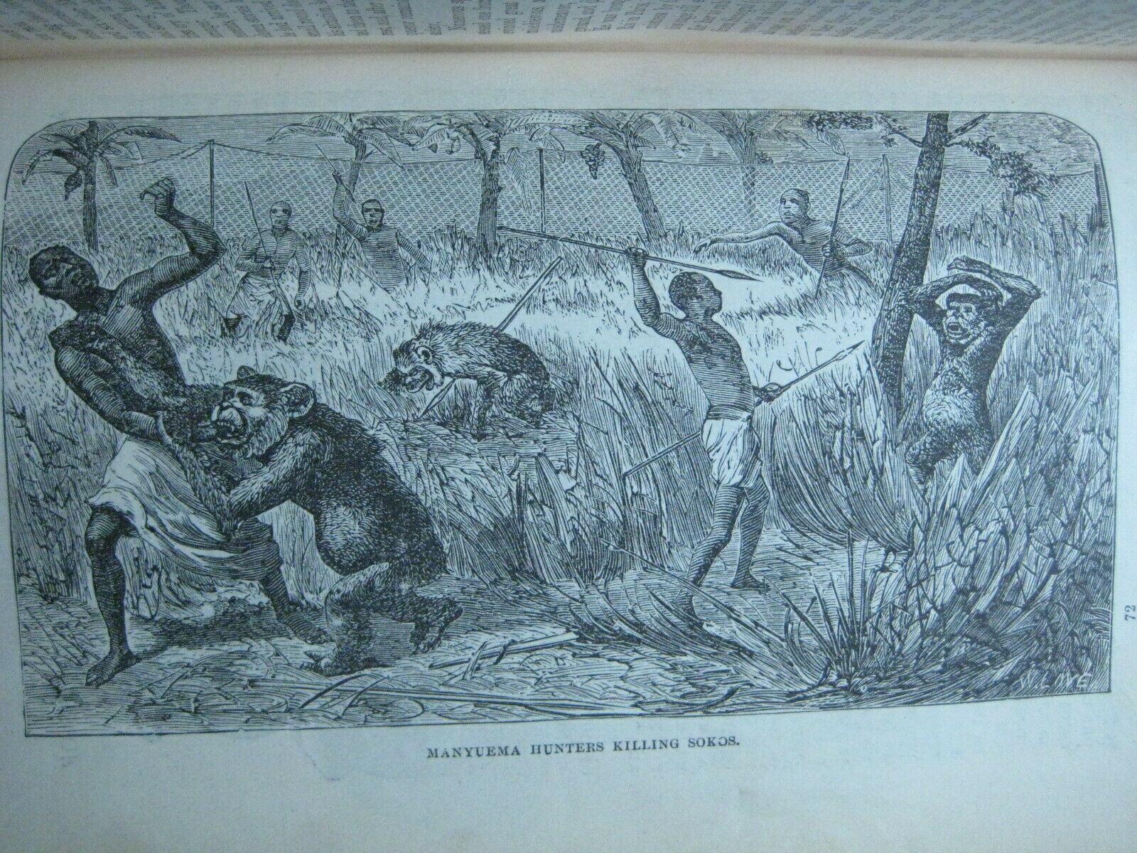RARE ANTIQUE BOOK 🌟 WORLD of WILD ANIMALS_BEASTS_BIRDS_REPTILE_FISH +_SOLD 0 - Fresh Stock Dated October 2025