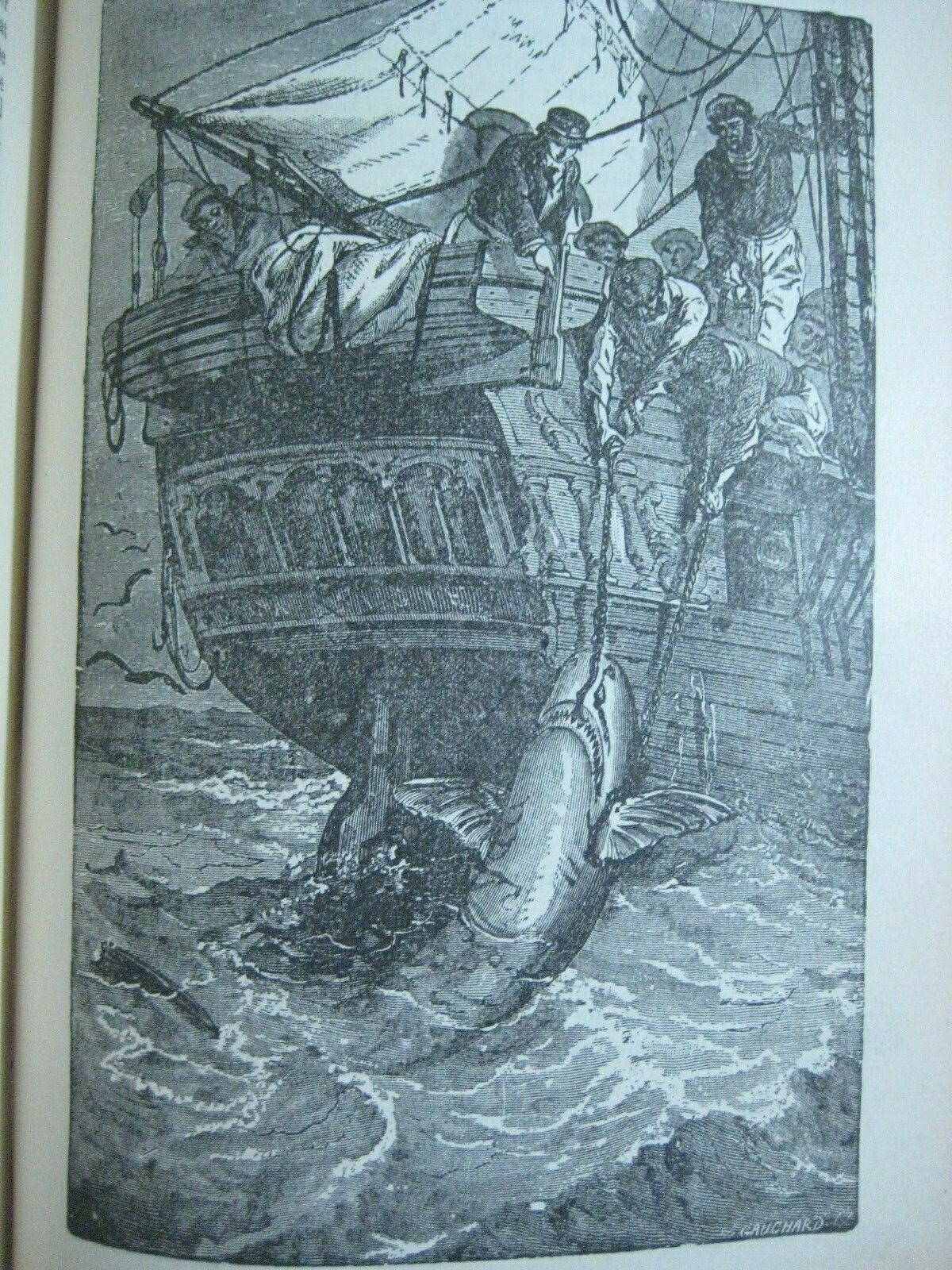 RARE ANTIQUE BOOK 🌟 WORLD of WILD ANIMALS_BEASTS_BIRDS_REPTILE_FISH +_SOLD 0 - Fresh Stock Dated October 2025