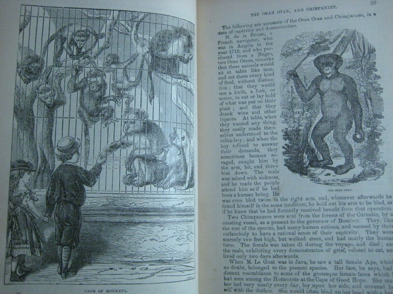 RARE ANTIQUE BOOK 🌟 WORLD of WILD ANIMALS_BEASTS_BIRDS_REPTILE_FISH +_SOLD 0 - Fresh Stock Dated October 2025