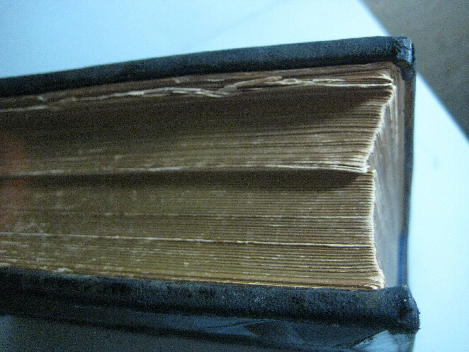 RARE ANTIQUE BOOK 🌟 WORLD of WILD ANIMALS_BEASTS_BIRDS_REPTILE_FISH +_SOLD 0 - Fresh Stock Dated October 2025