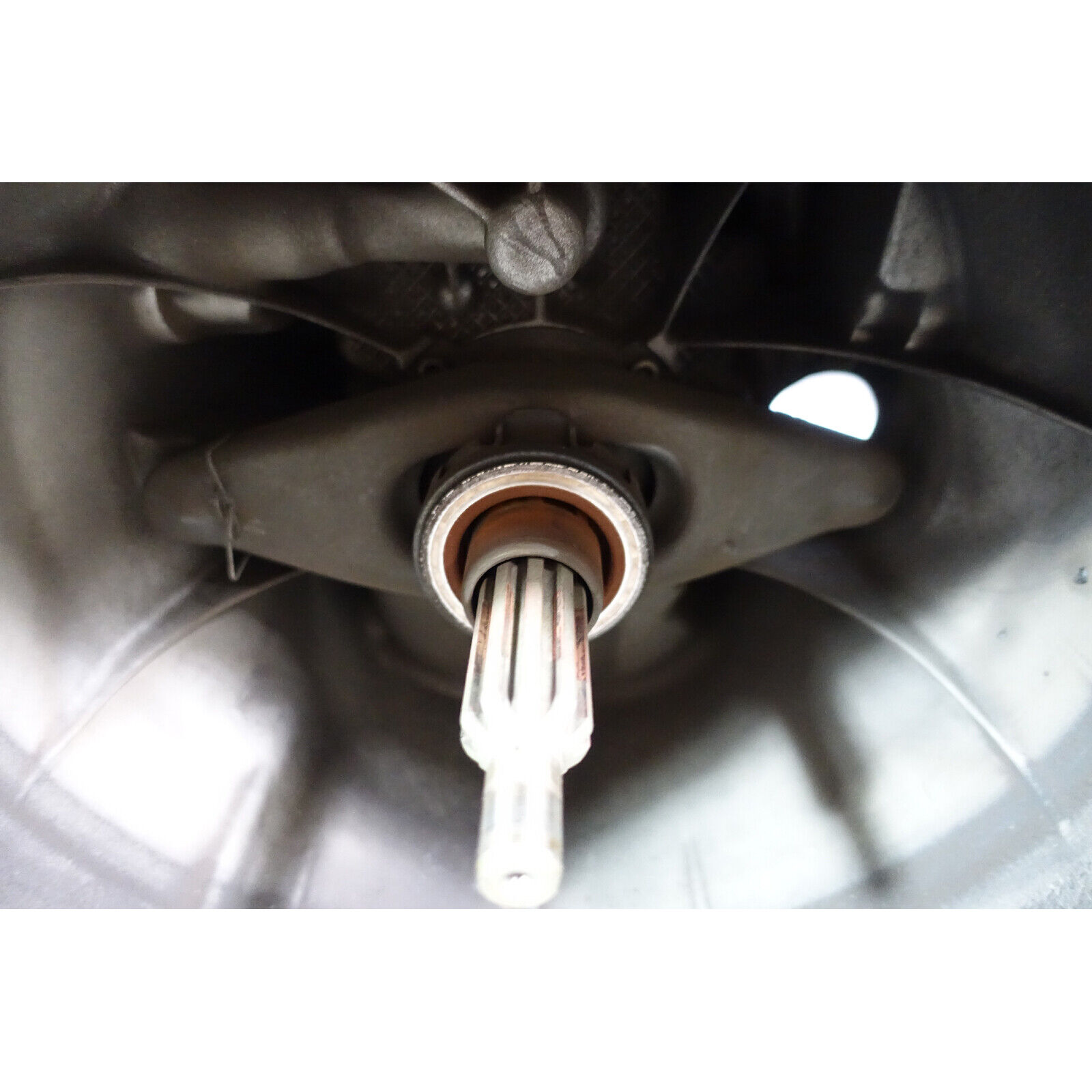 1995-2003 BMW E46 E36 OEM ZF S5D 320Z 5-Speed Manual Transmission Gearbox OEM - Fresh Stock Dated October 2025