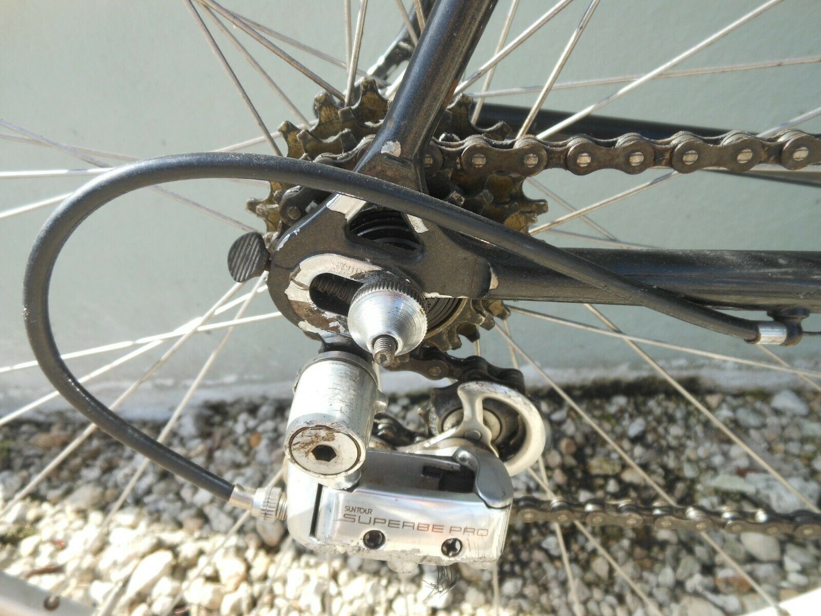 54cm Schwinn Waterford Parmount Bike - Fresh Stock Dated October 2025