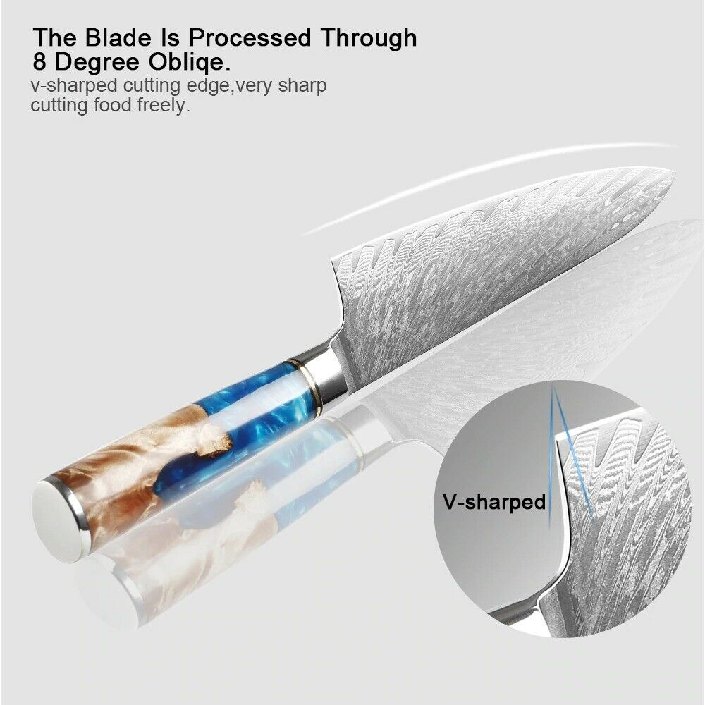 Kitchen Knives Damascus Steel VG10 Chef Knife Blue Resin Wood Hand Cooking Tool - Fresh Stock Dated October 2025