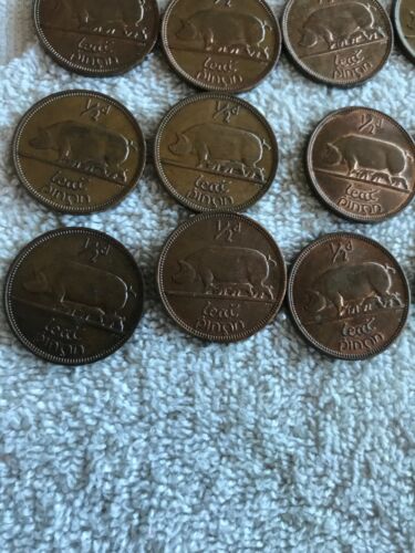 Lot Of 26 Irish Lucky Half-pennies 1964 - Fresh Stock Dated October 2025