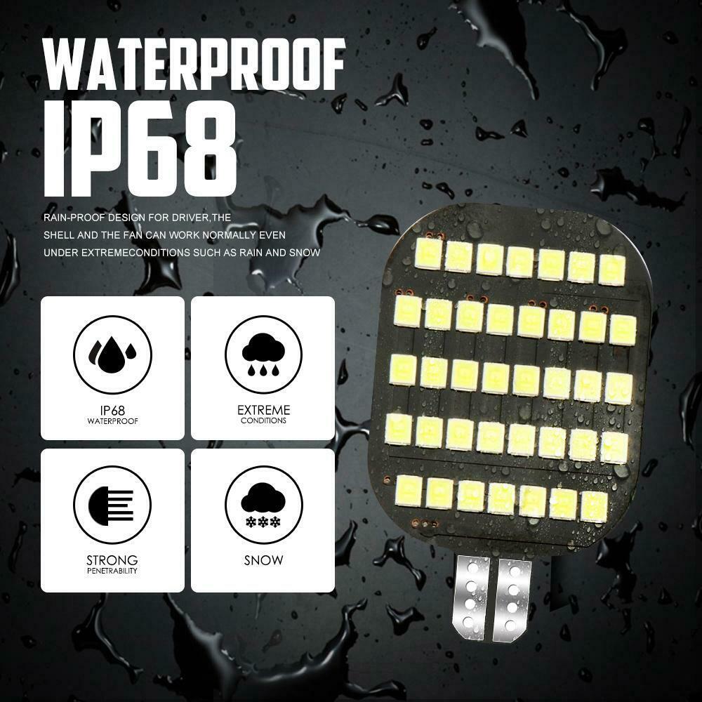 2x 168 2825 LED License Plate Bulbs for Harley Davidson FLHTCUTG Tri Glide Ultra - Fresh Stock Dated October 2025
