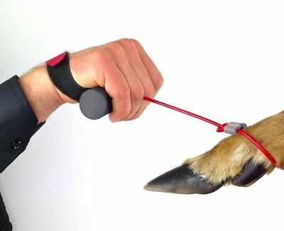 Buck Cuffs Orange Hunting Season Deer Drag Outdoors Easy Grip Hooves - Fresh Stock Dated October 2025